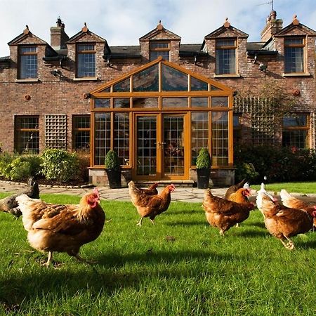 Blackwell House Banbridge Exteriér fotografie