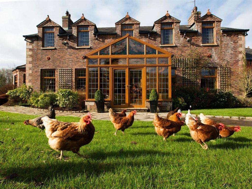 Blackwell House Banbridge Exteriér fotografie